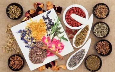 phytothérapie pour l'agrandissement du pénis